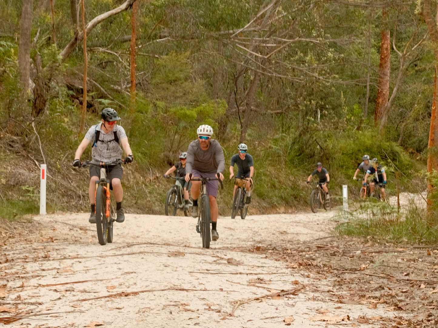 Group of gravel riders riding on a dirt trail through a forest.