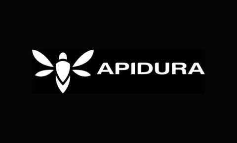Apidura
