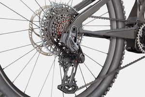 CANNONDALE Moterra  Neo SL 1 Carbon 2025 Raw