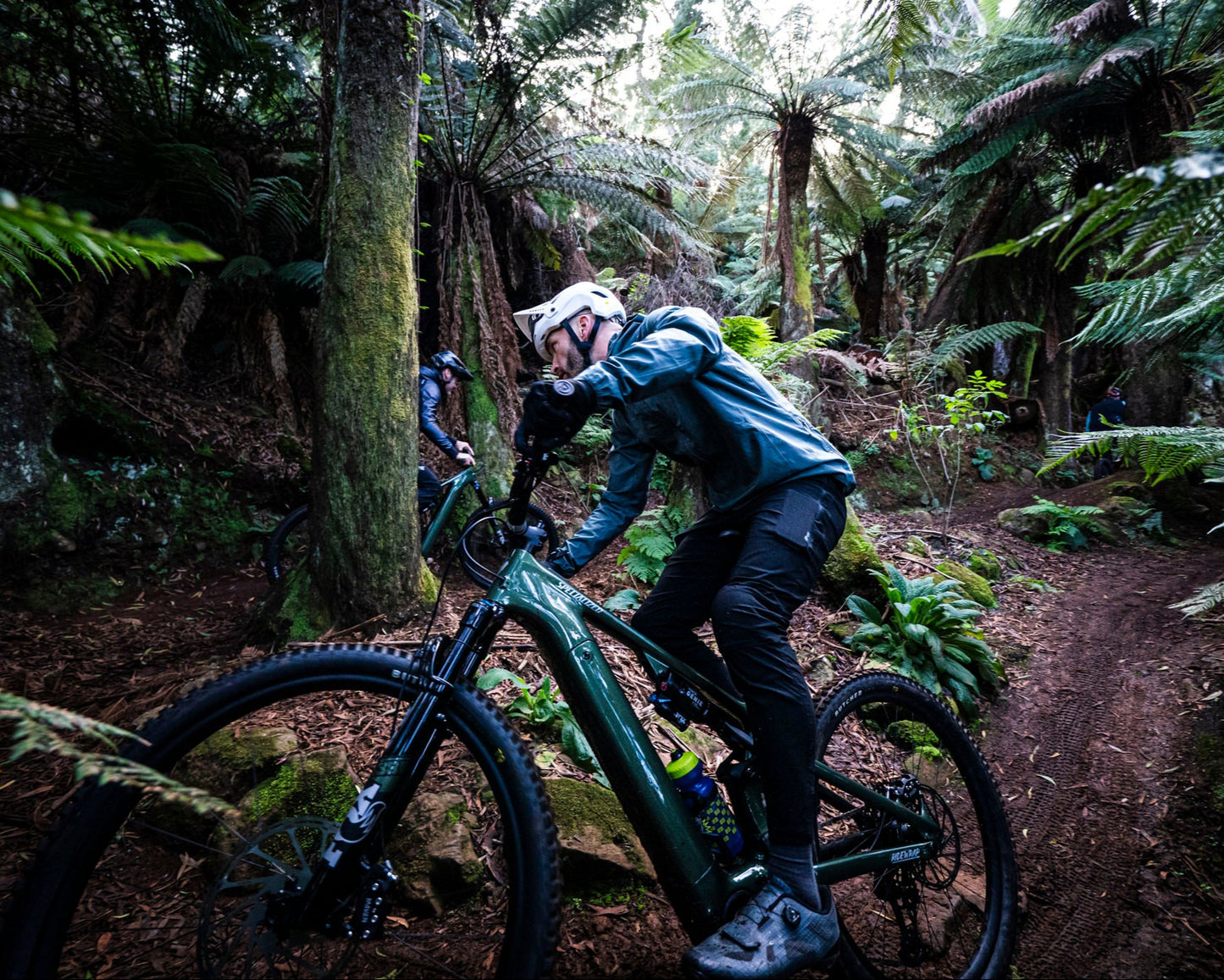 Two people riding mountain bikes through a forest trail